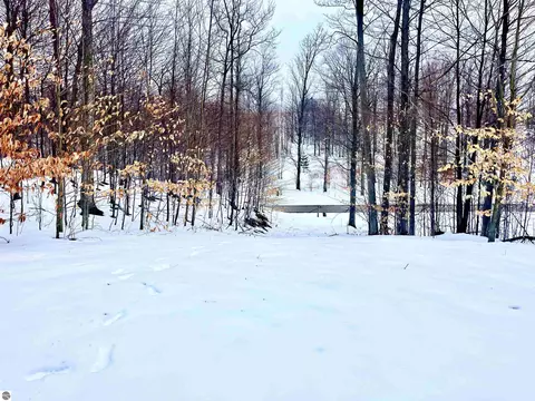 000 W Timber View Trl, Empire, MI 49630