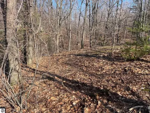 000 S Sugar Loaf Mountain Rd, Cedar, MI 49621
