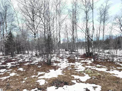 Lot 488 Manistee Heights No 1, Mancelona, MI 49659