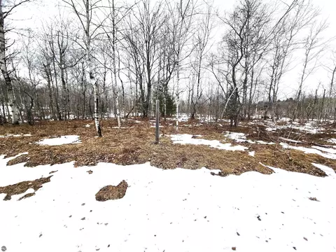 Lot 489 Manistee Heights No 1, Mancelona, MI 49659