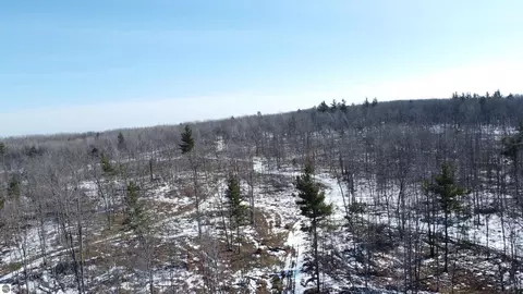 2262 Stoney Ridge Rd, West Branch, MI 48661