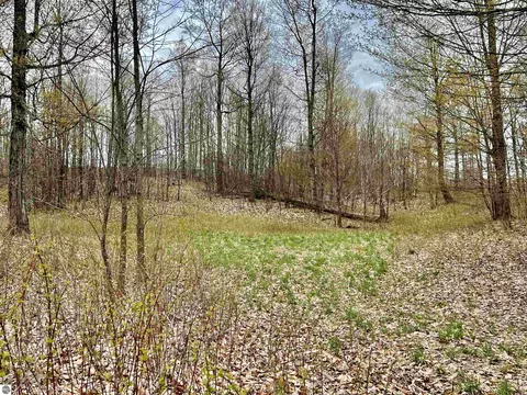 08 W Timber View Trl, Empire, MI 49630