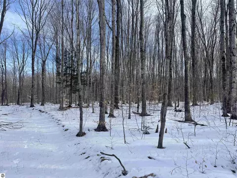 0 NE Twin Lake Rd, Mancelona, MI 49659