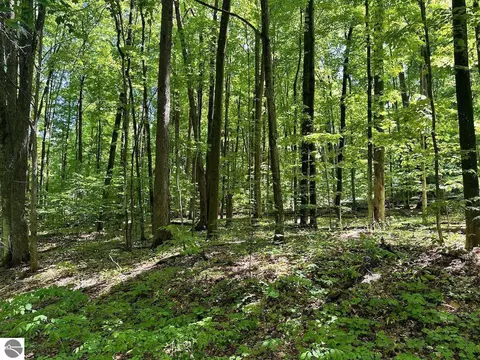 lot51 Val Disere Dr, Bellaire, MI 49615
