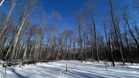 8845 B5 B6 Reynolds Rd, Traverse City, MI 49684