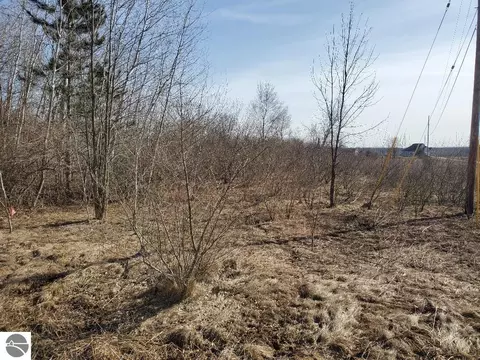 Tbd E Baseline Road, Mount Pleasant, MI 48858 photo 6