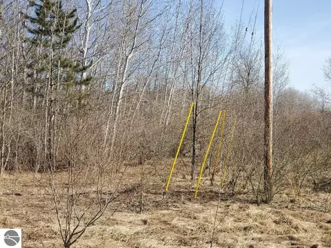 Tbd E Baseline Road, Mount Pleasant, MI 48858 photo 2