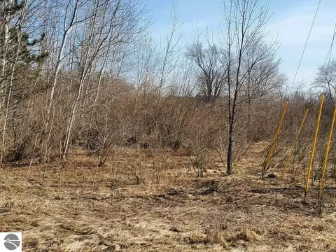 Tbd E Baseline Road, Mount Pleasant, MI 48858 photo 3