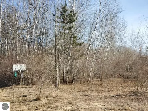 Tbd E Baseline Road, Mount Pleasant, MI 48858 photo 8