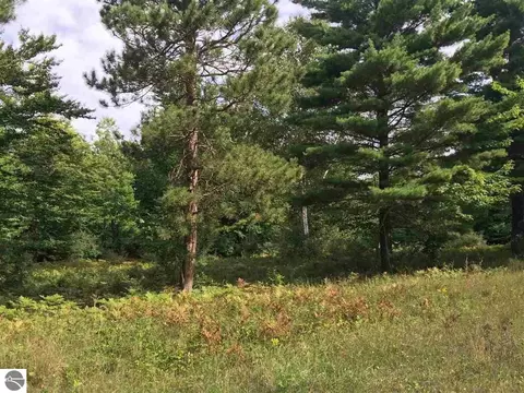 3992 Wildwood Trl, Manistee, MI 49660