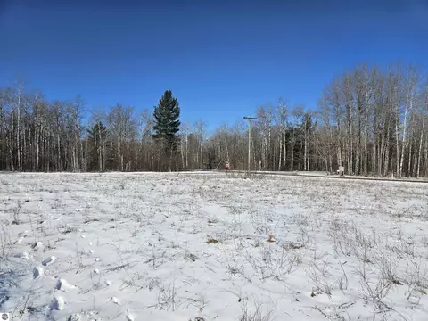 Lot 283 Sunridge Drive, Elmira, MI 49730