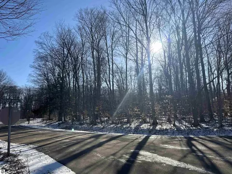 Lot 74 Sugar Maple Drive, Cedar, MI 49621