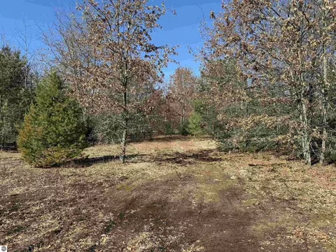 Vl Sanborn Road, Lake City, MI 49651