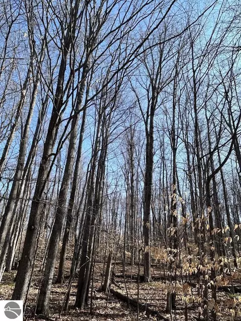 Lot 14 Klein Strasse, Bellaire, MI 49615