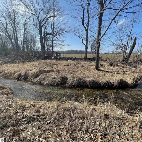 Vacant Land Elm Road, Farwell, MI 48622