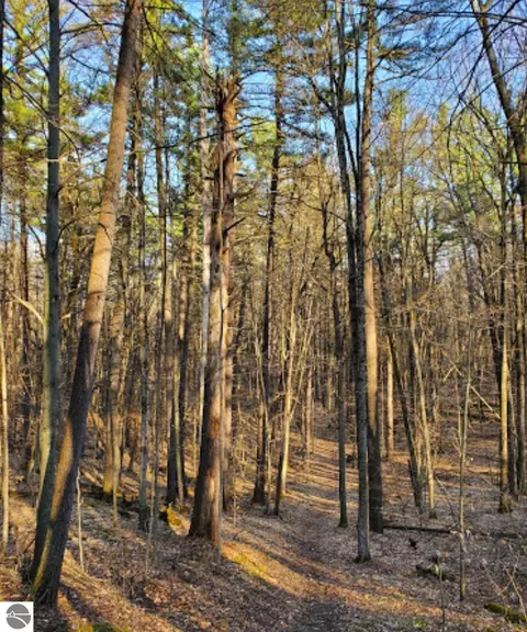00 E Clear Lake Rd, West Branch, MI 48661