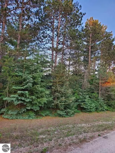 000 Howard St, Mesick, MI 49668 photo 5