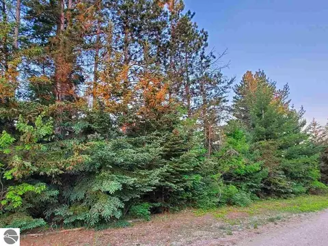 000 Howard St, Mesick, MI 49668 photo 2