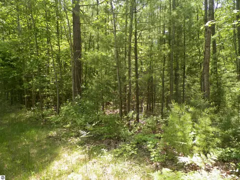 lot47 Bramblewood Dr, Cadillac, MI 49601