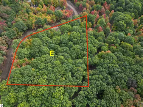 Parcel E Trumbull Road, Maple City, MI 49664