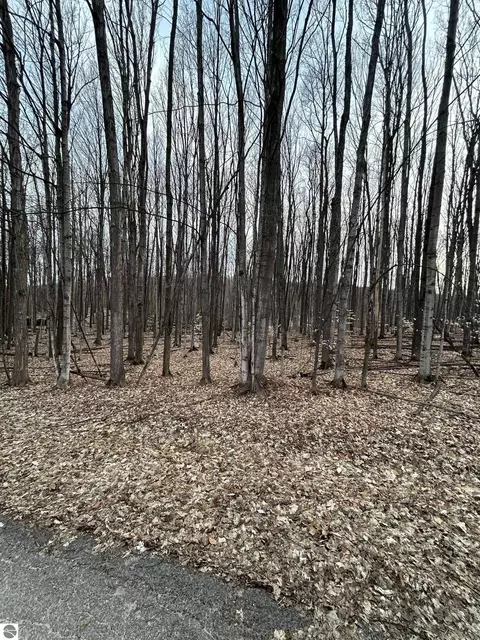 Lot 191 Hilltop Drive, Bellaire, MI 49615
