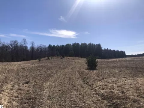 120 S Acres S 9 Mile Rd, Copemish, MI 49625
