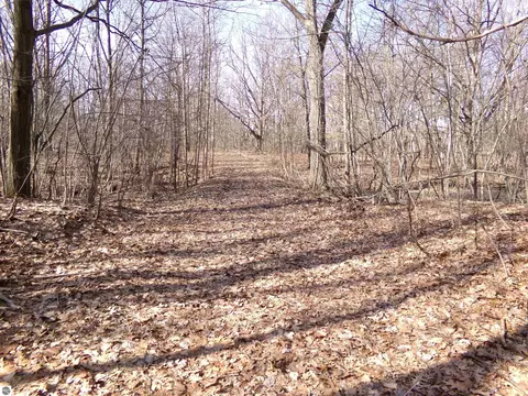 Tbd E River Run Drive, Mount Pleasant, MI 48858 photo 3