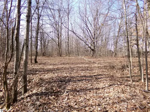 Tbd E River Run Drive, Mount Pleasant, MI 48858 photo 6