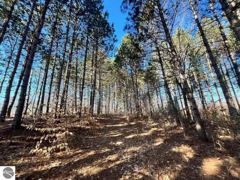 00 N 17 Rd, Mesick, MI 48823 photo 11