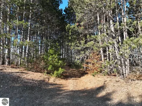 00 N 17 Rd, Mesick, MI 48823 photo 10
