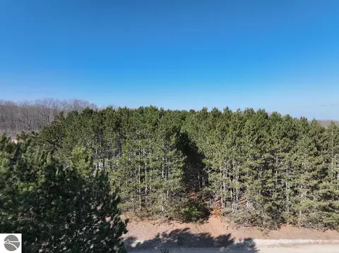 00 N 17 Rd, Mesick, MI 48823 photo 6