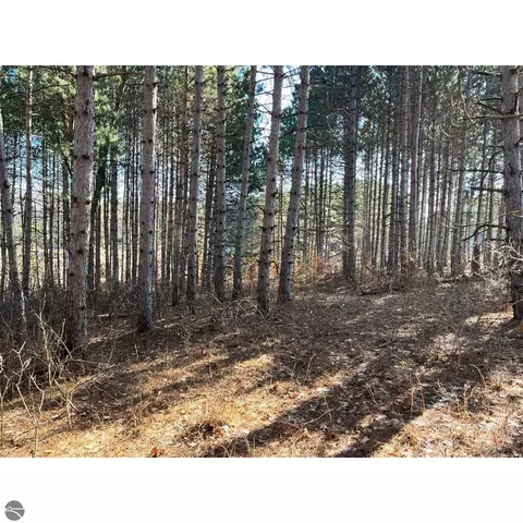 00 N 17 Rd, Mesick, MI 48823 photo 13