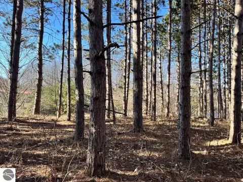 00 N 17 Rd, Mesick, MI 48823 photo 12