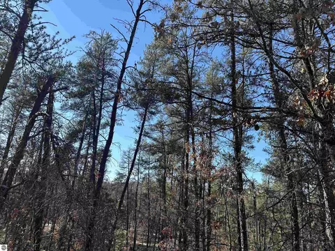 00 Wilderness Trl, Grayling, MI 49738 photo 11