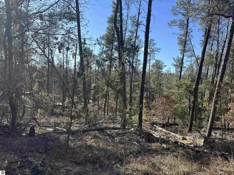 00 Wilderness Trl, Grayling, MI 49738 photo 9