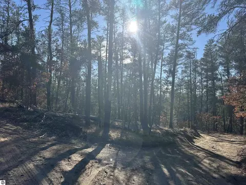 00 Wilderness Trl, Grayling, MI 49738 photo 6