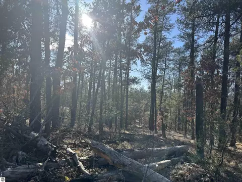 00 Wilderness Trl, Grayling, MI 49738 photo 4