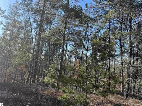 00 Wilderness Trl, Grayling, MI 49738 photo 13