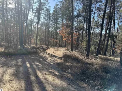 00 Wilderness Trl, Grayling, MI 49738 photo 7