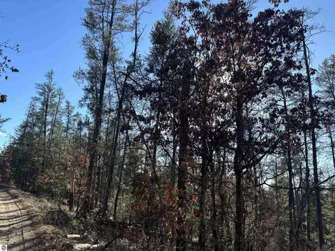 00 Wilderness Trl, Grayling, MI 49738 photo 3