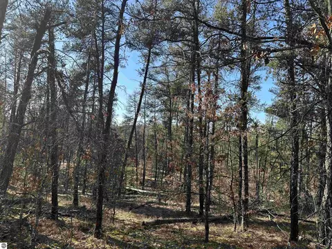 00 Wilderness Trl, Grayling, MI 49738 photo 12