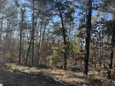 00 Wilderness Trl, Grayling, MI 49738 photo 14