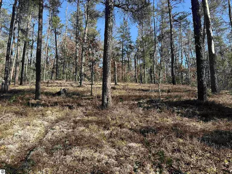 00 Wilderness Trl, Grayling, MI 49738 photo 5