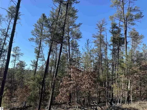 00 Wilderness Trl, Grayling, MI 49738 photo 8