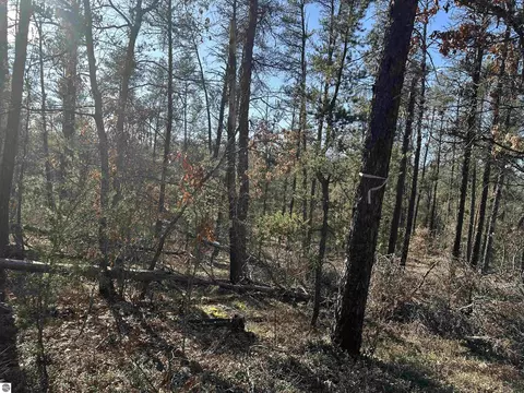 00 Wilderness Trl, Grayling, MI 49738 photo 2