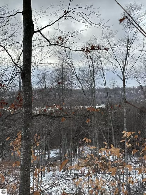 S Lime Lake Road #PARCEL A, Cedar, MI 49621