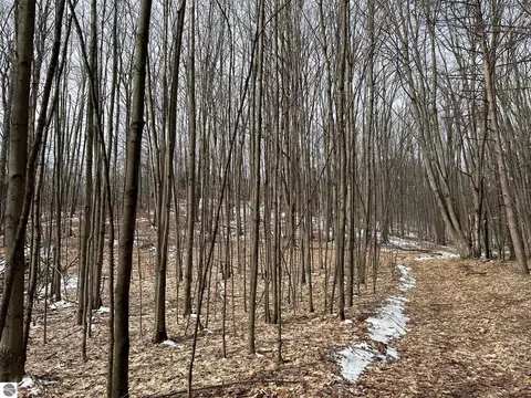 Tbd 19.5 A Cermak Road, Bear Lake, MI 49614
