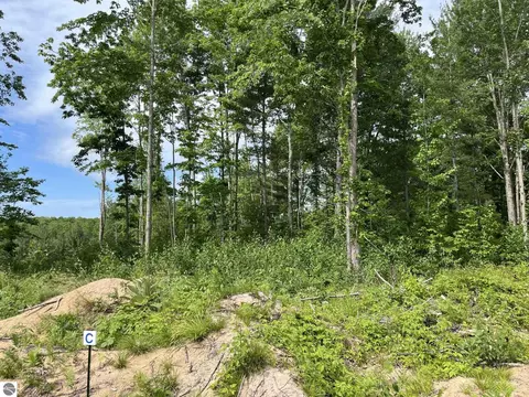 tbd Hoosier Flats Rd, Traverse City, MI 49685