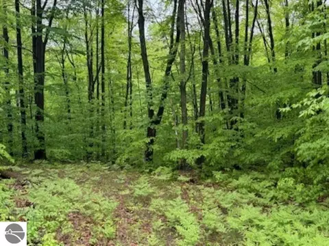 Vl SW Lund Road, Fife Lake, MI 49633