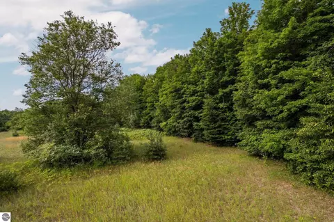 150 Weldon Rd, Beulah, MI 49617 photo 5
